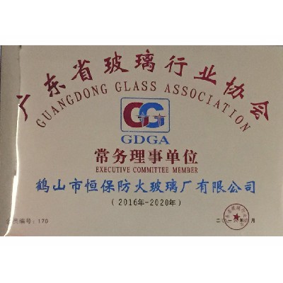 廣東省玻璃行業(yè)協(xié)會(huì ) 常務(wù)理事單位