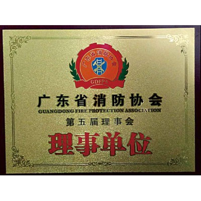 廣東消防協(xié)會(huì ) 理事單位