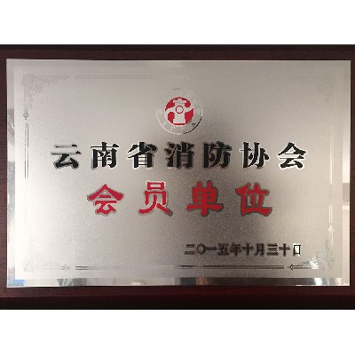 云南消防協(xié)會(huì ) 會(huì )員單位