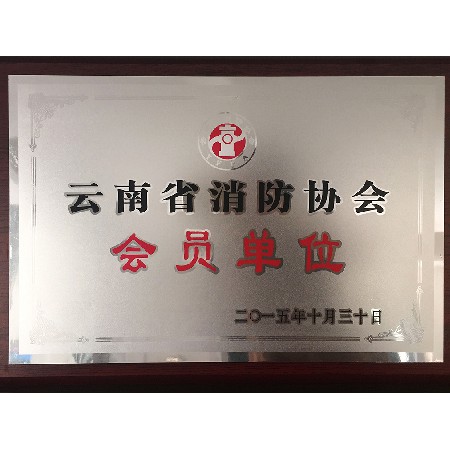 云南消防協(xié)會(huì ) 會(huì )員單位